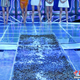 Illustration for article titled Models Walk on Insects for Chinese TV